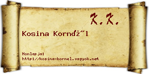 Kosina Kornél névjegykártya